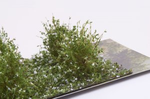 画像4: マルティン・ウエルベルク[WB-SAW]茂みA 株タイプ 全高20mm 10株 (4)