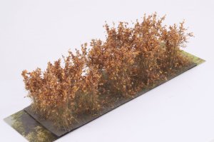 画像2: マルティン・ウエルベルク[WB-SCBR]茂みC 株タイプ 全高40mm ブラウン 10株 (2)