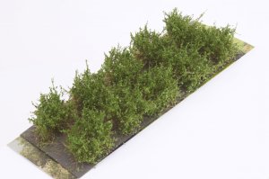 画像2: マルティン・ウエルベルク[WB-SDMG]茂みD 株タイプ 全高20mm ミディアムグリーン10株 (2)