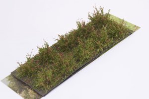 画像2: マルティン・ウエルベルク[WB-SDR]茂みD 株タイプ 全高20mm レッド 10株 (2)