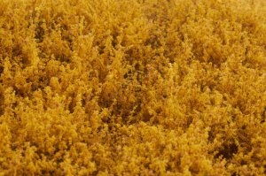 画像4: マルティン・ウエルベルク[WB-SEAG]茂みE 草むらタイプ 全高20mm オータムゴールド (4)