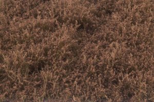 画像3: マルティン・ウエルベルク[WB-SEFB]茂みE 草むらタイプ 全高20mm フォールブラウン (3)