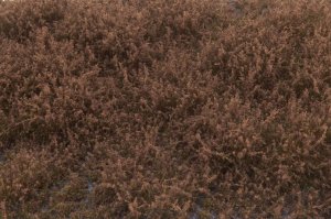 画像3: マルティン・ウエルベルク[WB-SFFB]茂みF 草むらタイプ 全高15mm フォールブラウン (3)