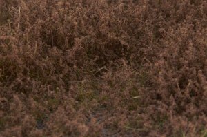 画像4: マルティン・ウエルベルク[WB-SFFB]茂みF 草むらタイプ 全高15mm フォールブラウン (4)