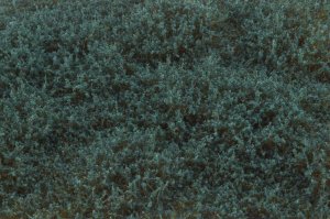 画像3: マルティン・ウエルベルク[WB-SFFG]茂みF 草むらタイプ 全高15mm フォレストグリーン (3)