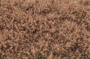 画像3: マルティン・ウエルベルク[WB-SFLB]茂みF 草むらタイプ 全高15mm ライトブラウン (3)