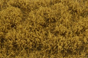 画像3: マルティン・ウエルベルク[WB-SFM]茂みF 草むらタイプ 全高15mm モスグリーン (3)