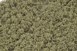 画像2: マルティン・ウエルベルク[WB-SWBG]剥離タイプ(雑草 バーンドグリーン) 全高6mm (2)