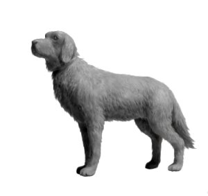 画像3: マスターボックス[MSB35237]1/35 "シュネルトルッペン！"WW.II ドイツ軍 快速部隊ドライバー (3)