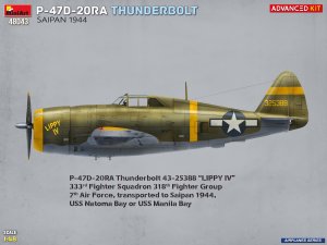 画像6: ミニアート[MA48043]1/48 P-47D-20RA サンダーボルト サイパン 1944年 アドバンスキット (6)