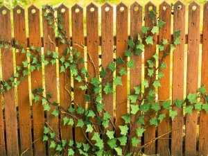 画像2: Model Scene[VG3-029]1/35 ツタ (2)