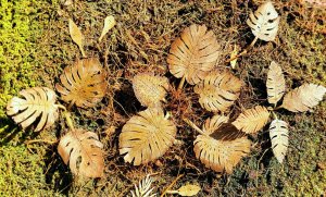 画像2: Model Scene[VG3-102]1/32-1/35 乾いたジャングルの低い植物 (2)