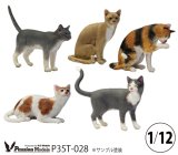 Passion Models[P35T-025]1/24 猫好きが認めるネコ 5種セット - M.S