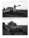 画像14: [PANZER TRACTS 5-3]パンター戦車G型(増補改訂版) (14)
