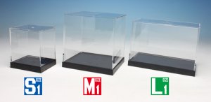 画像4: クリスタルプラケース L-1 (4)