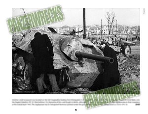 画像6: Panzers in Berlin 1945 (6)