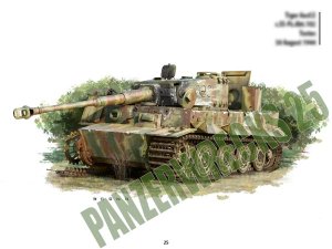 画像2: Panzerwrecks[PW-025]パンツァーレックス　No.25（Normandy 4） (2)