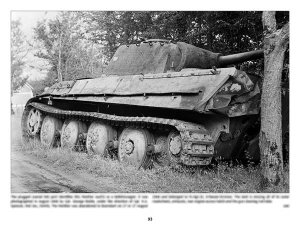 画像10: Panzerwrecks[PW-025]パンツァーレックス　No.25（Normandy 4） (10)