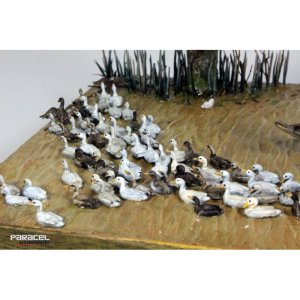 画像2: Paracel Miniatures[AN3513]1/35 汎用 アヒルの大群(20個入) (2)