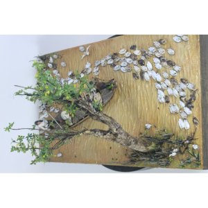 画像3: Paracel Miniatures[AN3513]1/35 汎用 アヒルの大群(20個入) (3)