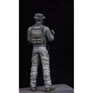 画像3: Paracel Miniatures[BS1607]1/16 現用 タスクフォース01 キャプテンP (3)