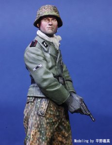 画像11: Passion Models[P35D-008]1/35  武装親衛隊デカール (11)