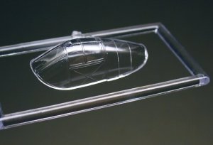 画像4: RS MODELS[RSM92155]1/72　P－38Dライトニング (4)