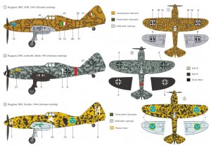 画像2: RS MODELS[RSM92106]1/72　レジアーネ (2)