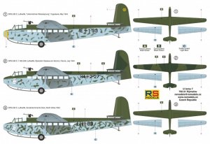 画像2: RS MODELS[RSM92187]1/72　DFS－230（Roesselsprung） (2)