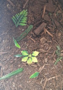 画像3: Reality in Scale[BAS07]地面ベース素材セット ジャングルの地面 (3)