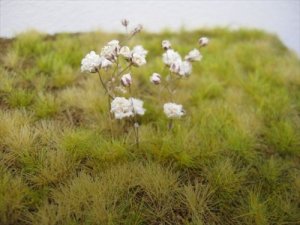 画像1: Reality in Scale[FLOW05]小さな白い自然の花 (1) (1)