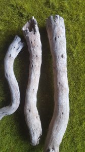 画像7: Reality in Scale[PLA08]1/35 ジオラマ素材 枯れた倒木と枝セット(天然素材) (7)