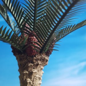 画像3: Reality in Scale[PLM04]1/35 パーム椰子 (3)