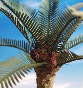 画像2: Reality in Scale[PLM04]1/35 パーム椰子 (2)