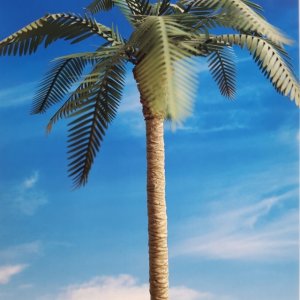 画像2: Reality in Scale[PLM05]1/35 実の無いココ椰子 (2)