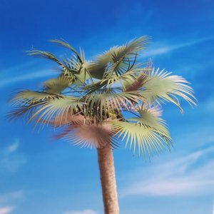 画像3: Reality in Scale[PLM06]1/35 パルミラ椰子 (3)