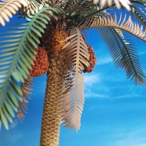 画像3: Reality in Scale[PLM07]1/35 ナツメ椰子 #1 (3)