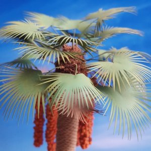 画像4: Reality in Scale[PLM10]1/35 ワシントン椰子 #1 (4)