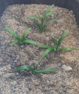 画像2: Reality in Scale[PP002]1/16-1/35 低い雑草-ダークグリーン (2)