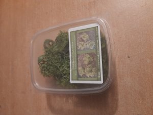 画像6: Reality in Scale[PP003]1/16-1/35 野原の茂み-ライトグリーン (6)