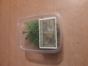 画像8: Reality in Scale[PP005]1/16-1/35 野原の茂み-スプリンググリーン (8)