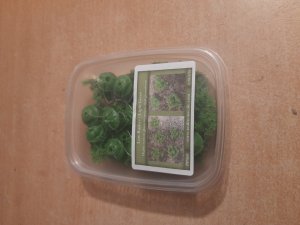 画像8: Reality in Scale[PP010]1/16-1/35 低い茂み-ライトグリーン (8)