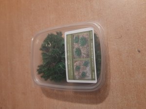 画像7: Reality in Scale[PP011]1/16-1/35 低い茂み-ダークグリーン (7)