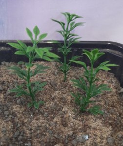 画像3: Reality in Scale[PP014]1/16-1/35 小さな木/高い茂み タイプ1-ダークスプリンググリーン (3)