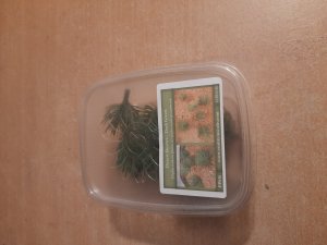 画像5: Reality in Scale[PP016]1/16-1/35 砂漠の茂み タイプ1-ダークグリーン (5)