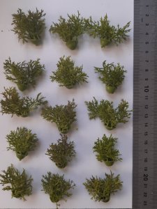 画像2: Reality in Scale[PP017]1/16-1/35 砂漠の茂み タイプ2-ライトグリーン (2)