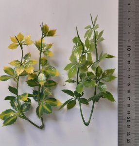 画像7: Reality in Scale[PP020]1/16-1/35 ジャングルの植物セット1 植物2種類入 (7)