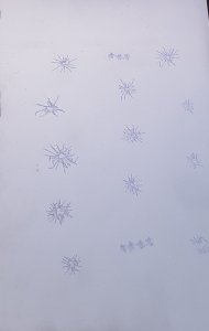 画像3: Reality in Scale[RIS35272]1/35 ジオラマ素材 銃撃でひび割れた窓(A5サイズ) (3)