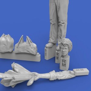 画像4: RoyalModel[RM1024]1/48 無名の反逆者(タンクマン) 天安門 1989 (4)