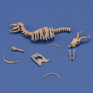 画像1: RoyalModel[RM1049]1/35 ジオラマアクセサリー アンテロープの全身骨格 (1)